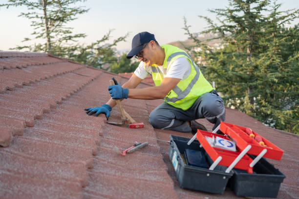 Best Roof Gutter Cleaning  in Glenpool, OK